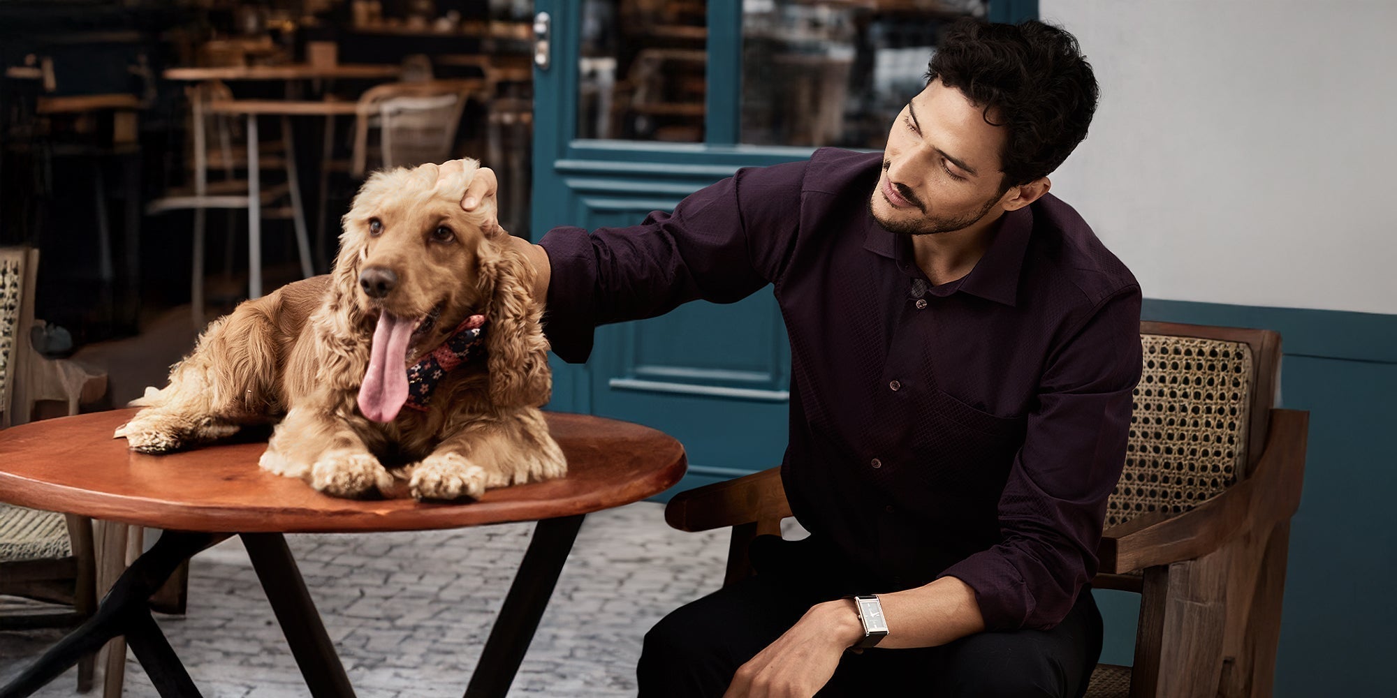 From AM to PM : The Right Formal Shirts for Men and How to Style Them