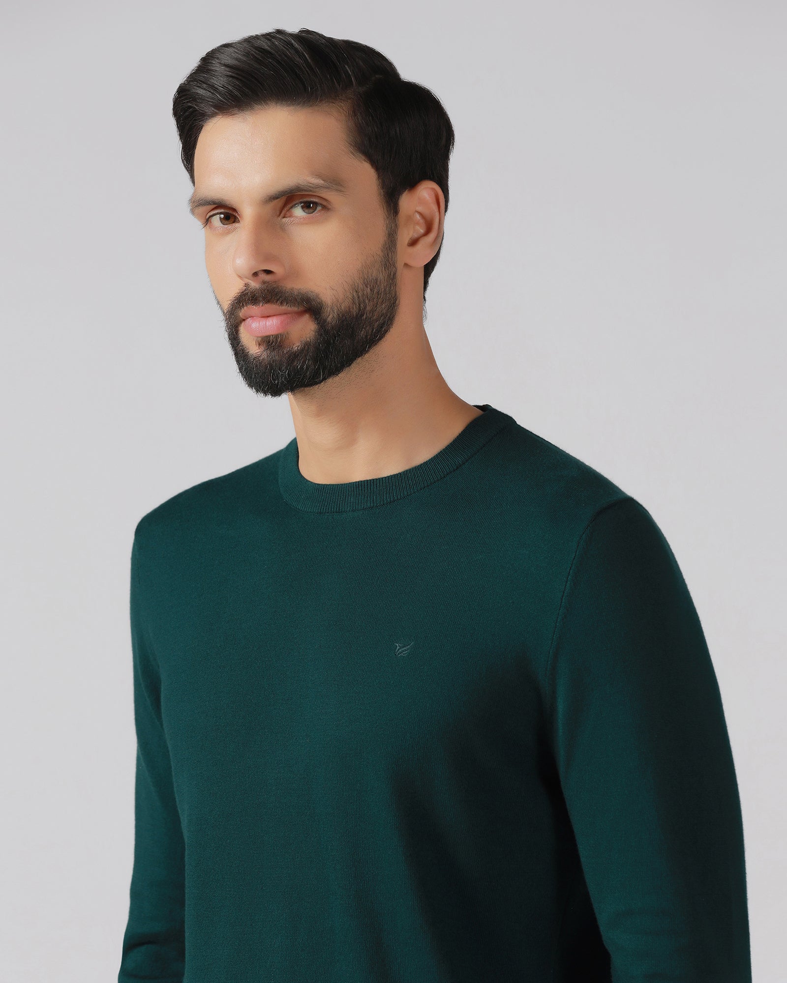 Beetle Crew Neck Solid Sweater - Mario