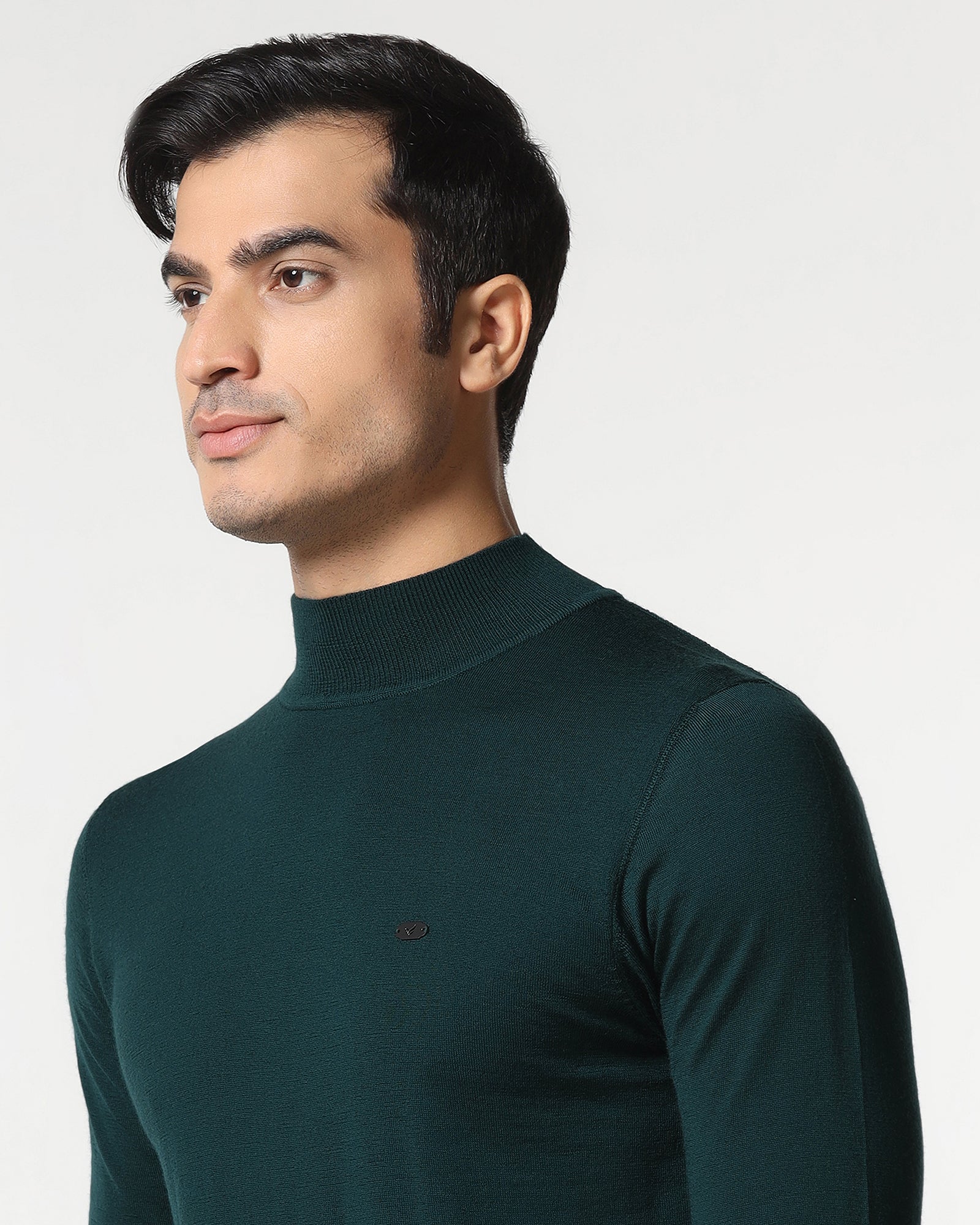 Beetle High Neck Solid Sweater - Jester