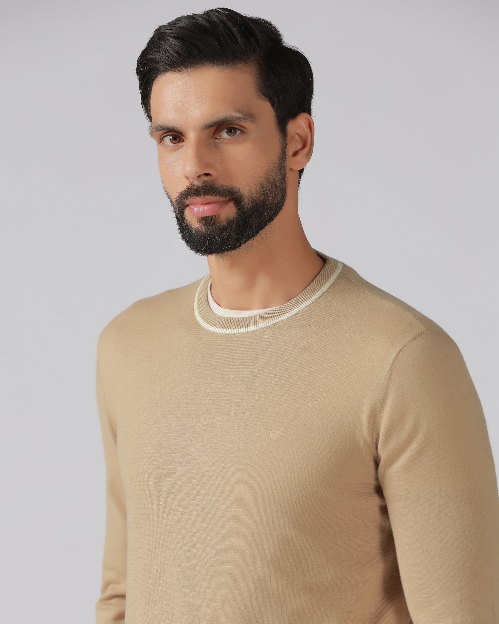 Beige Crew Neck Solid T-Shirt - Timber