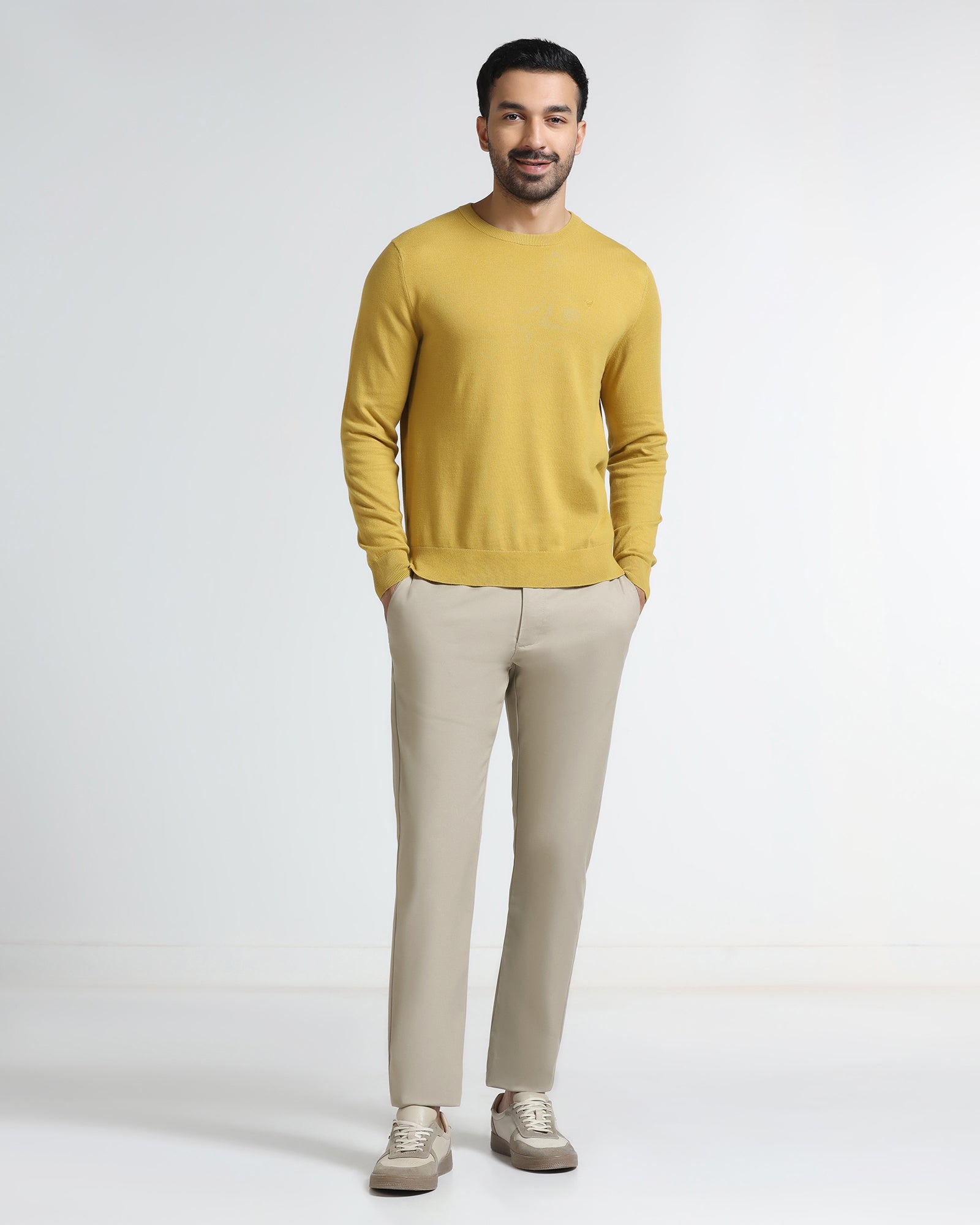 Beige Non Iron Solid Khakis - Tigiris