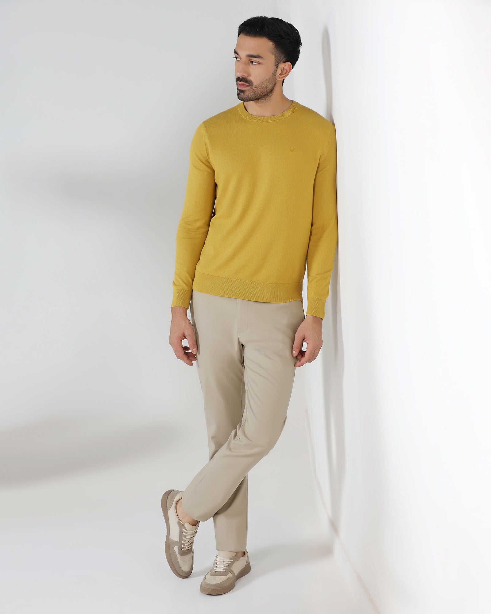 Beige Non Iron Solid Khakis - Tigiris