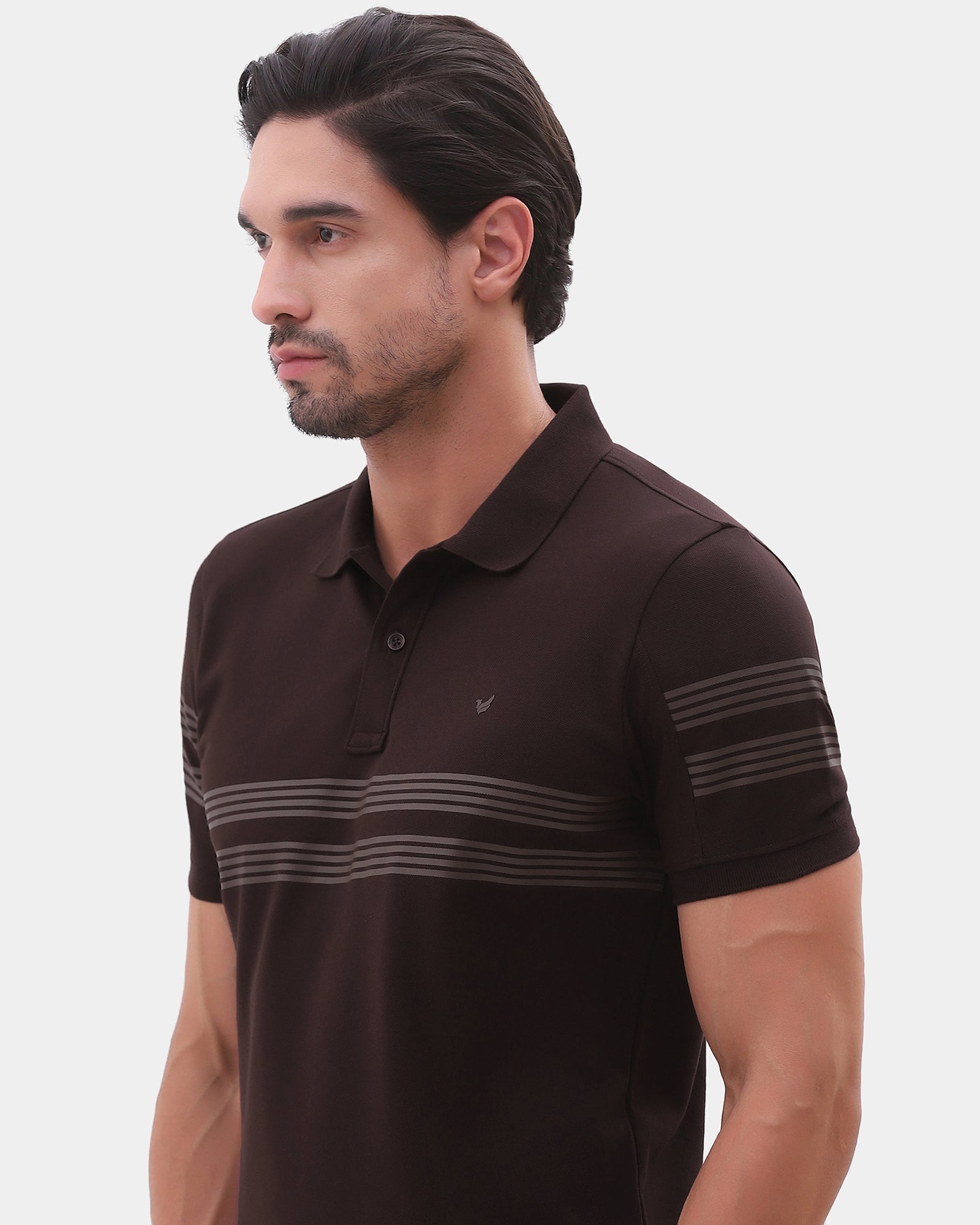 Brown Stripe Polo - Clint