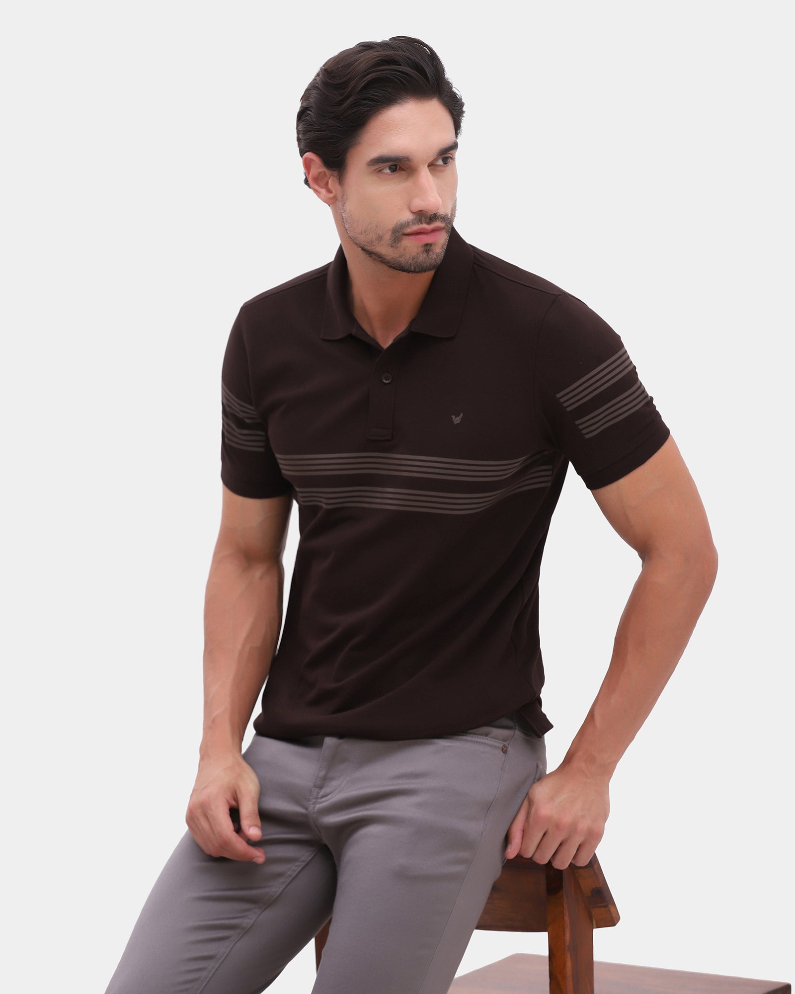 Brown Stripe Polo - Clint