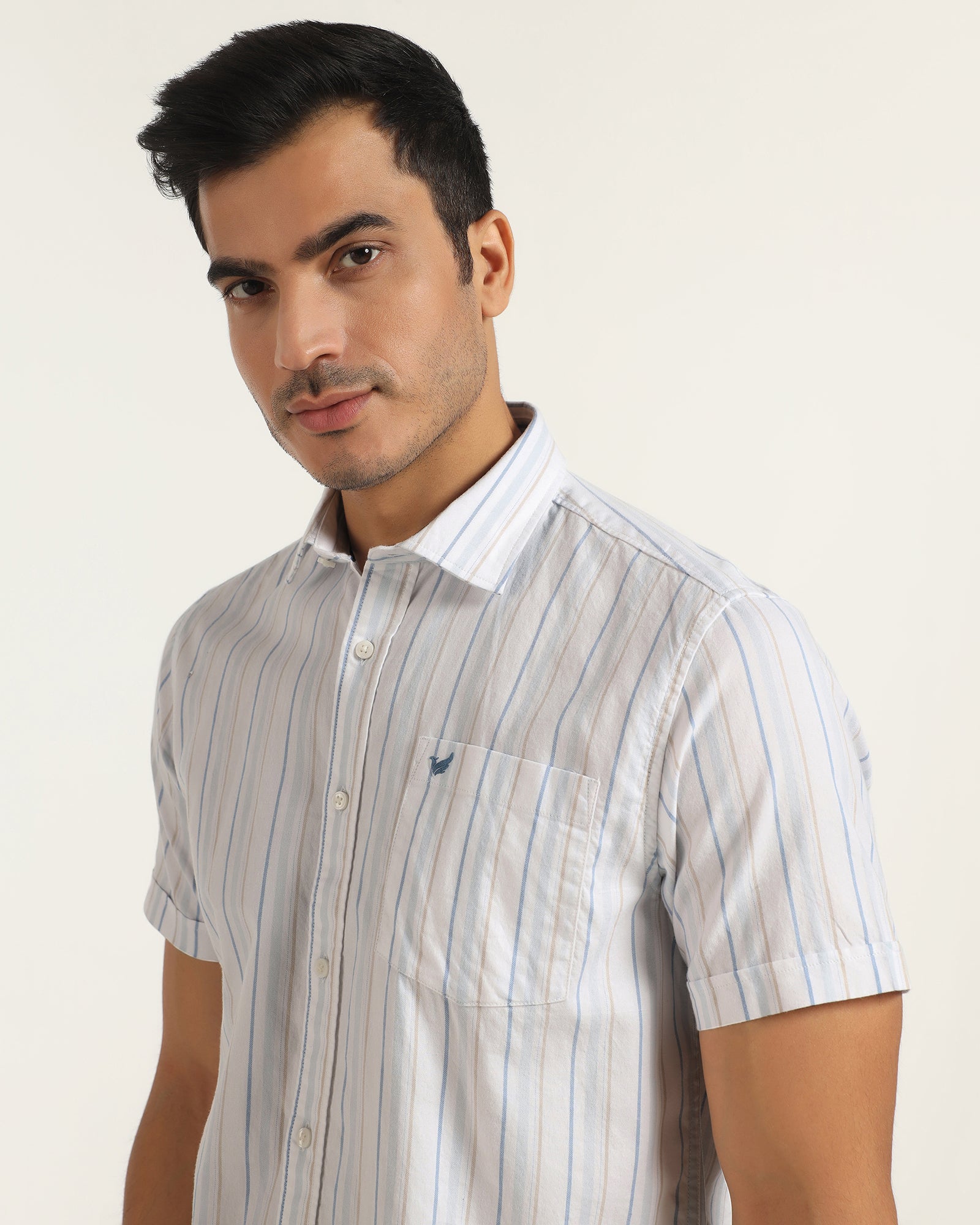 Casual Half Sleeve Blue Stripe Shirt - Masami