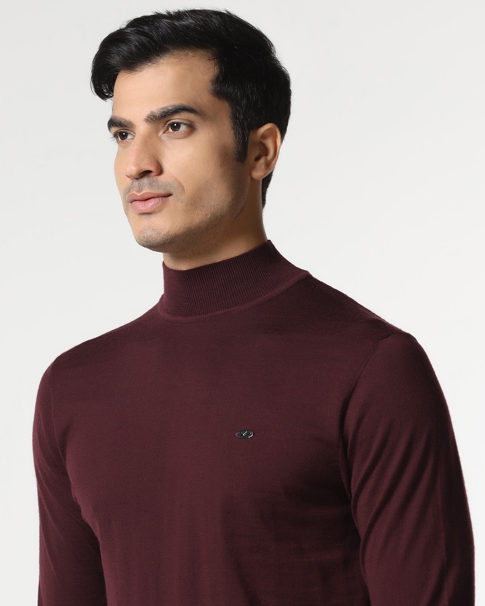Cherry Lacquer High Neck Solid Sweater - Jester