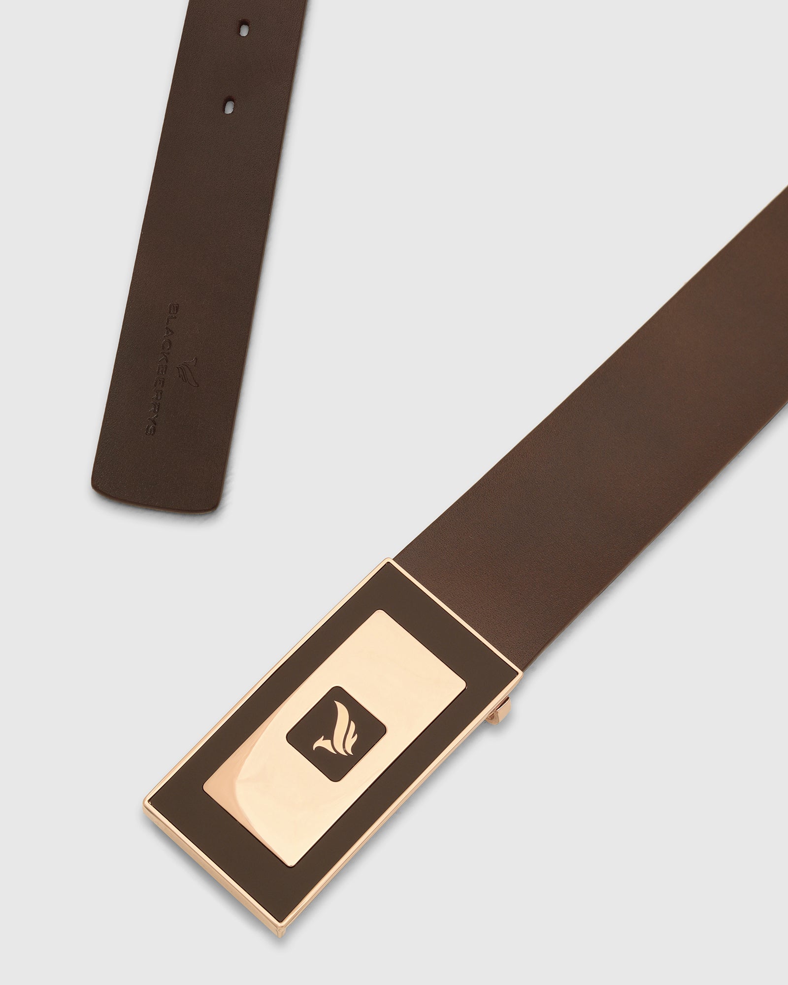 Leather Brown Solid Belt - Visna