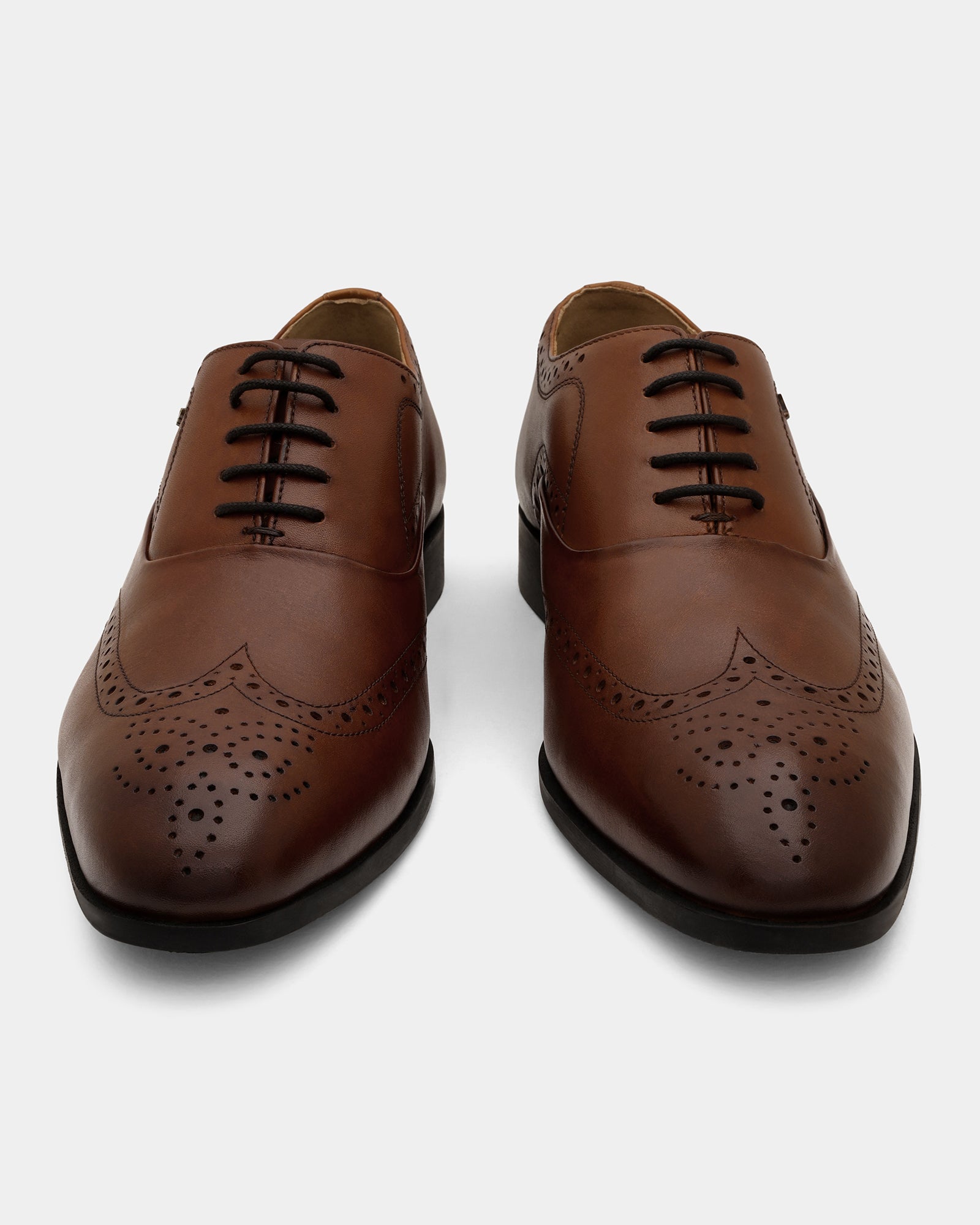 Leather Tan Solid Oxford Shoes - Advent