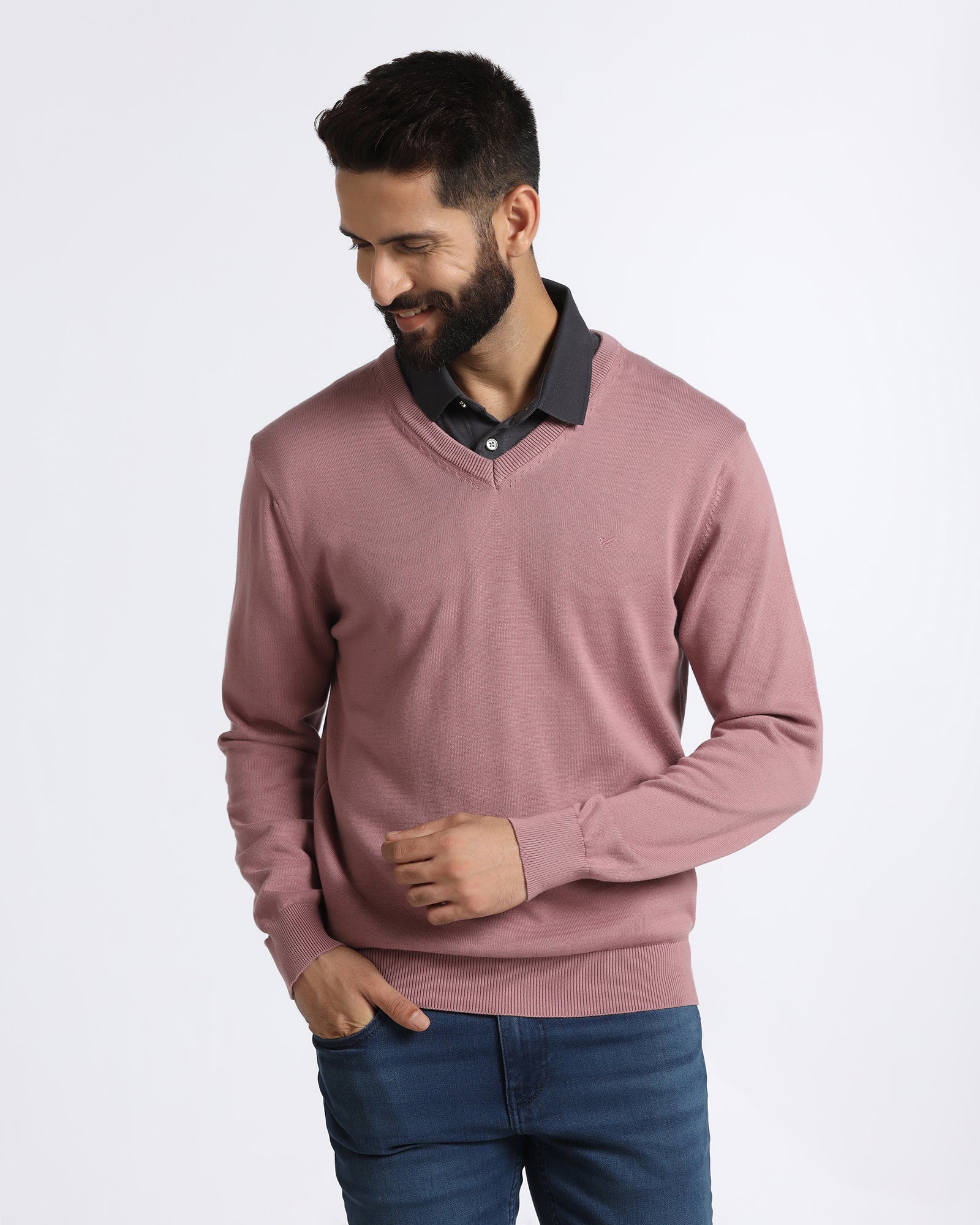 Lilac V-Neck Solid Sweatshirt - Vneckter