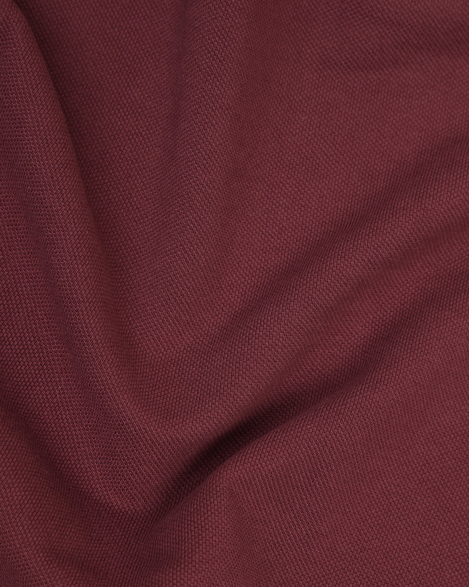 Polo Wild Ginger Solid T-Shirt - Zephyr