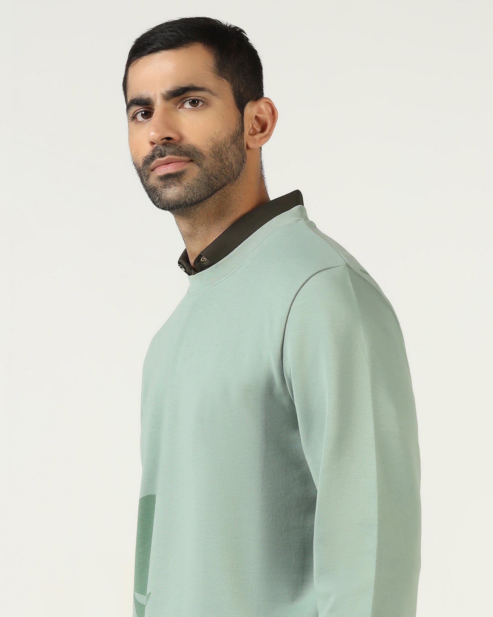 Sage Green Crew Neck Solid Sweatshirt - Eve