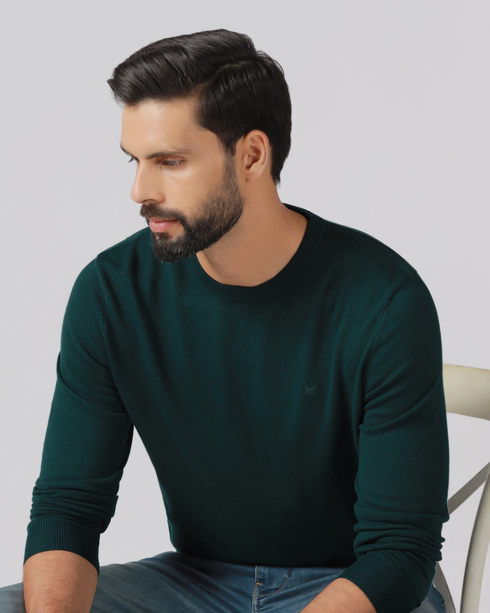 Beetle Crew Neck Solid Sweater - Mario