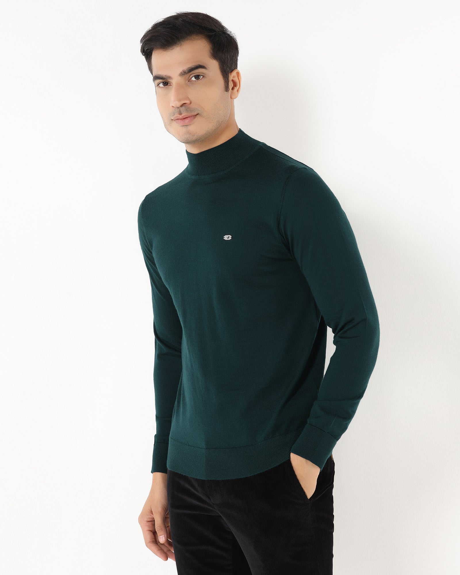 Beetle High Neck Solid Sweater - Jester