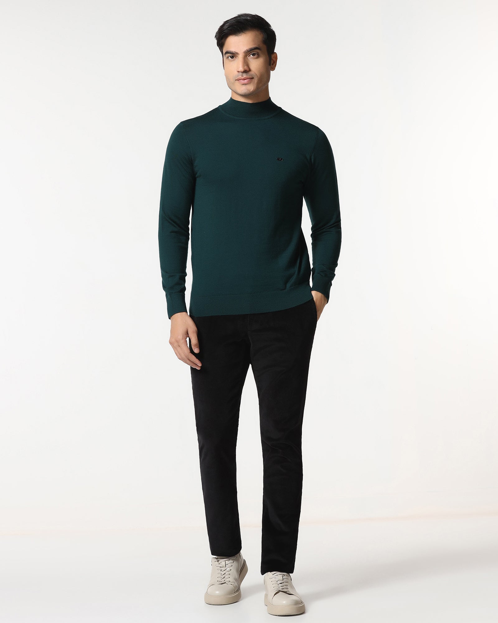 Beetle High Neck Solid Sweater - Jester