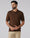 Brown Solid Polo - Yuto