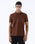Brown Solid Polo - Rhoda