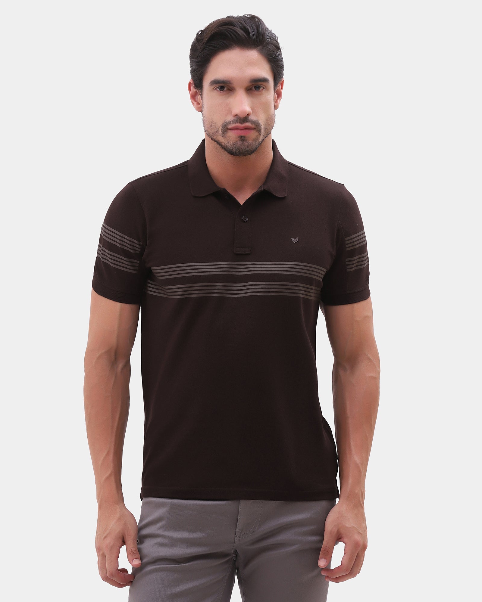 Brown Stripe Polo - Clint