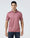 Coral Pink Solid Polo - Ram