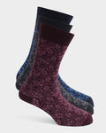 Cotton Multi Color Knitted Socks - Walcaw
