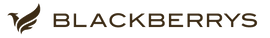 BLACKBERRYS