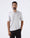 Light Grey Solid Polo - Thomas