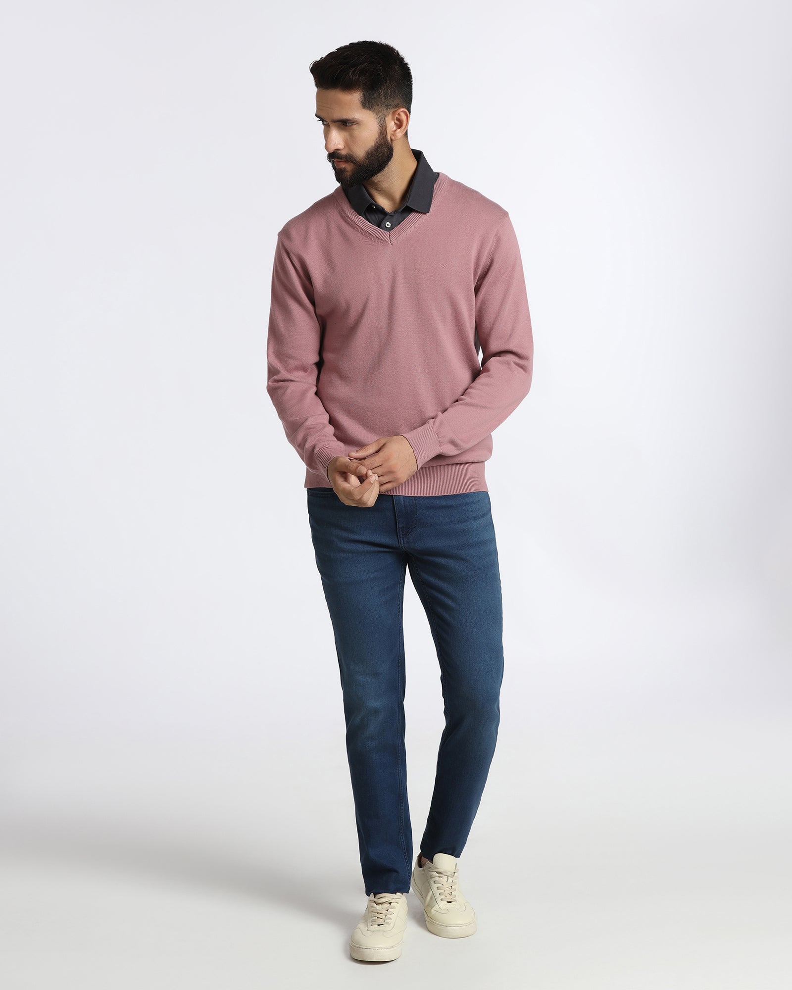 Lilac V-Neck Solid Sweatshirt - Vneckter