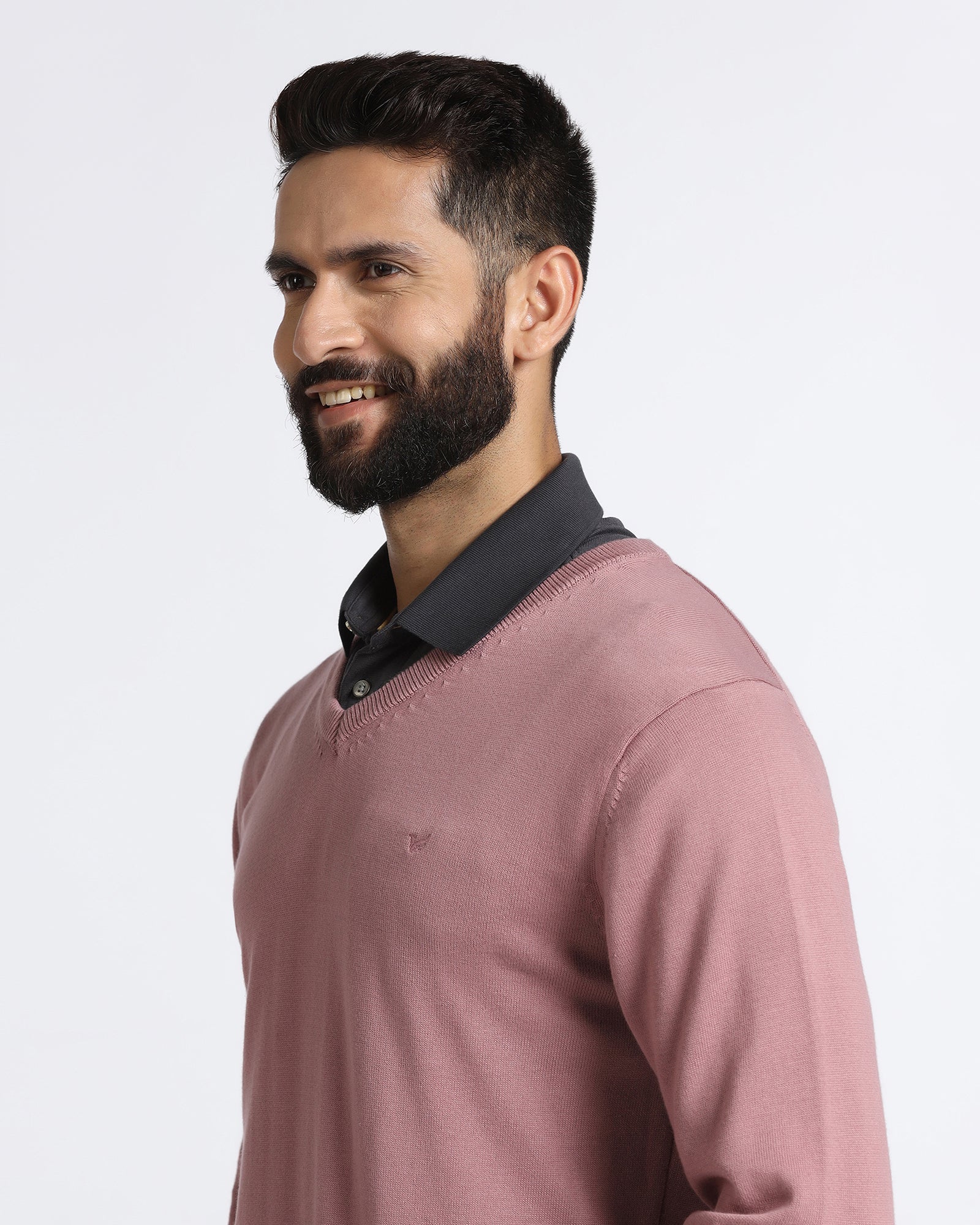 Lilac V-Neck Solid Sweatshirt - Vneckter