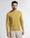 Ochre Yellow Crew Neck Solid Sweater - Mario