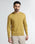 Ochre Yellow Crew Neck Solid Sweater - Mario