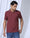 Polo Wild Ginger Solid T-Shirt - Zephyr