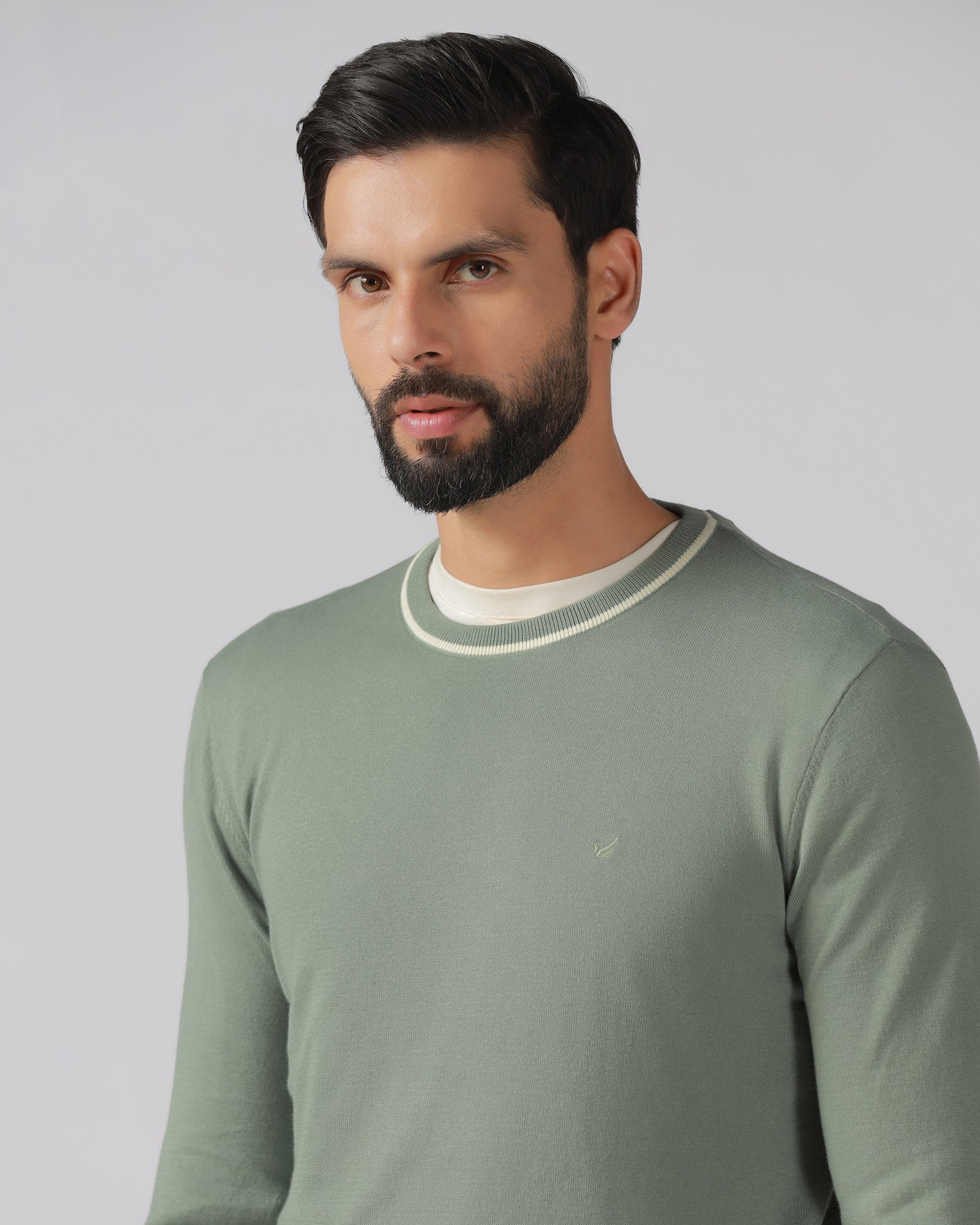 Sage Green Crew Neck Solid T-Shirt - Timber