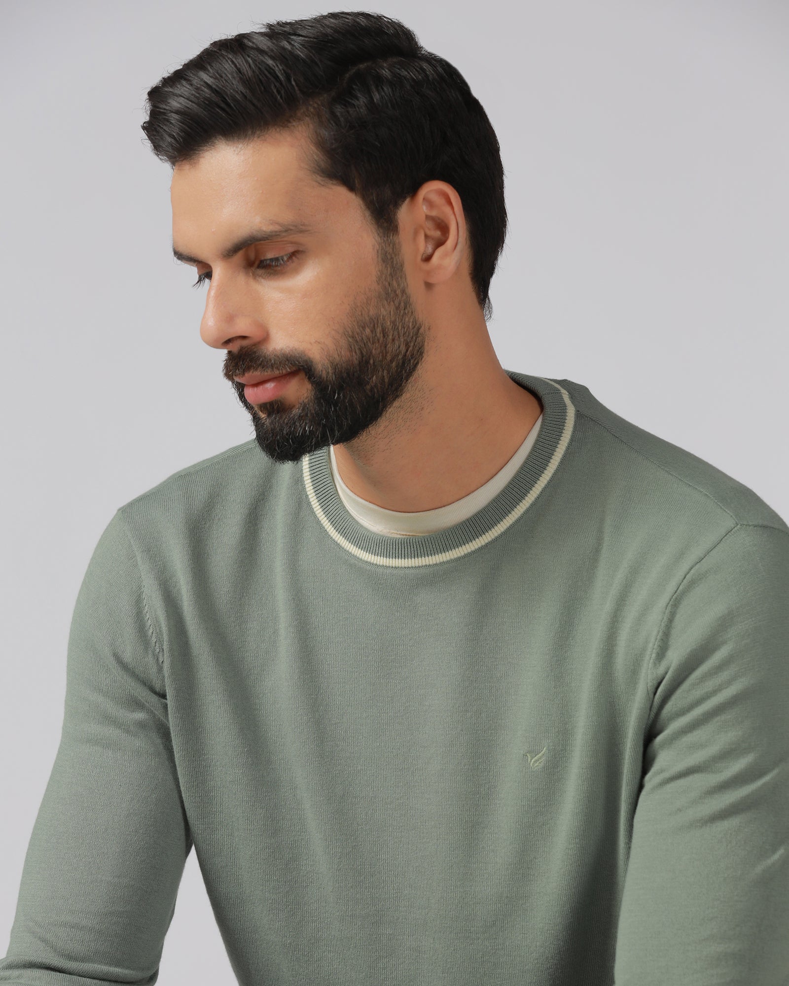 Sage Green Crew Neck Solid T-Shirt - Timber