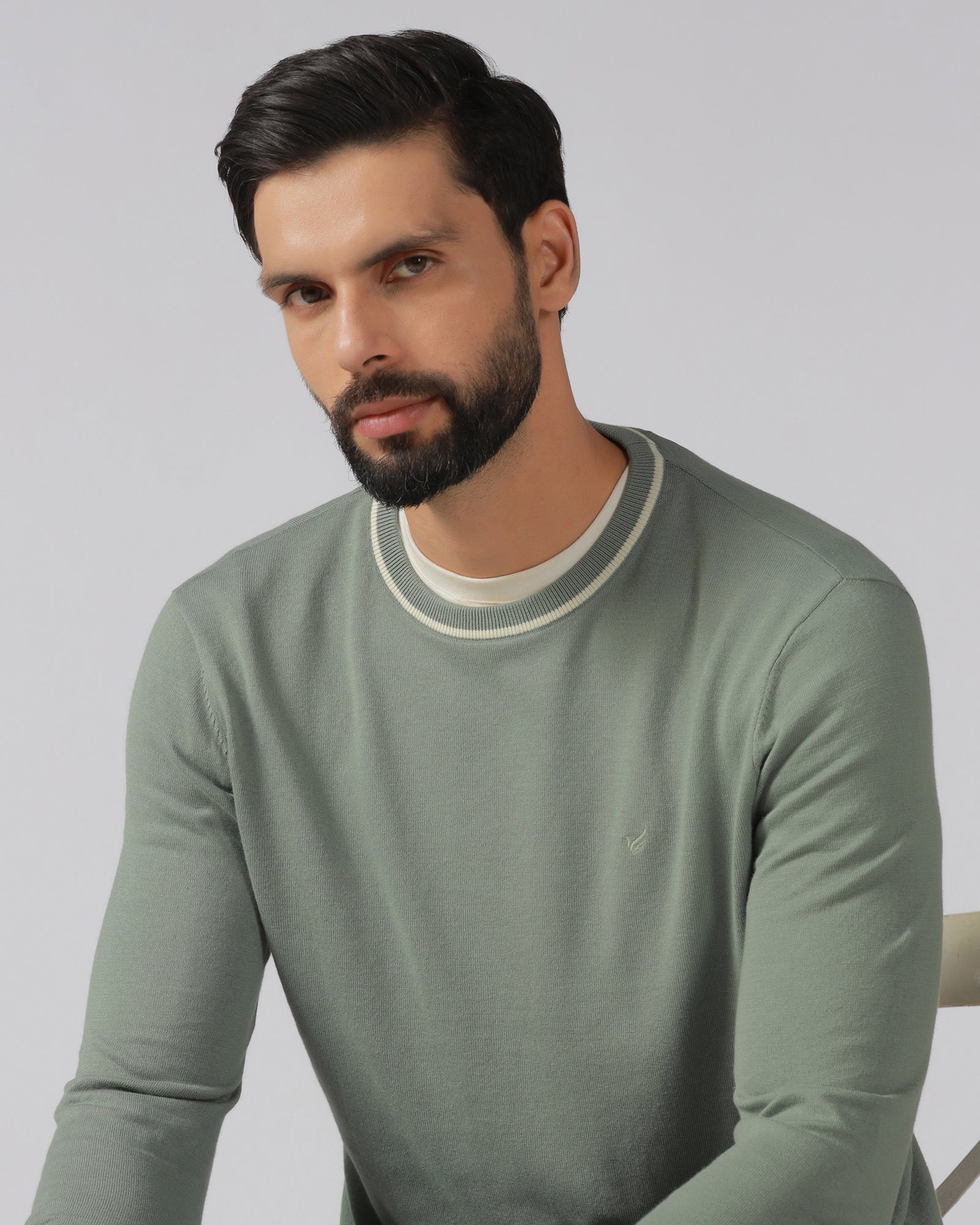 Sage Green Crew Neck Solid T-Shirt - Timber
