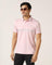 Polo Pink Striped T-Shirt - Harry