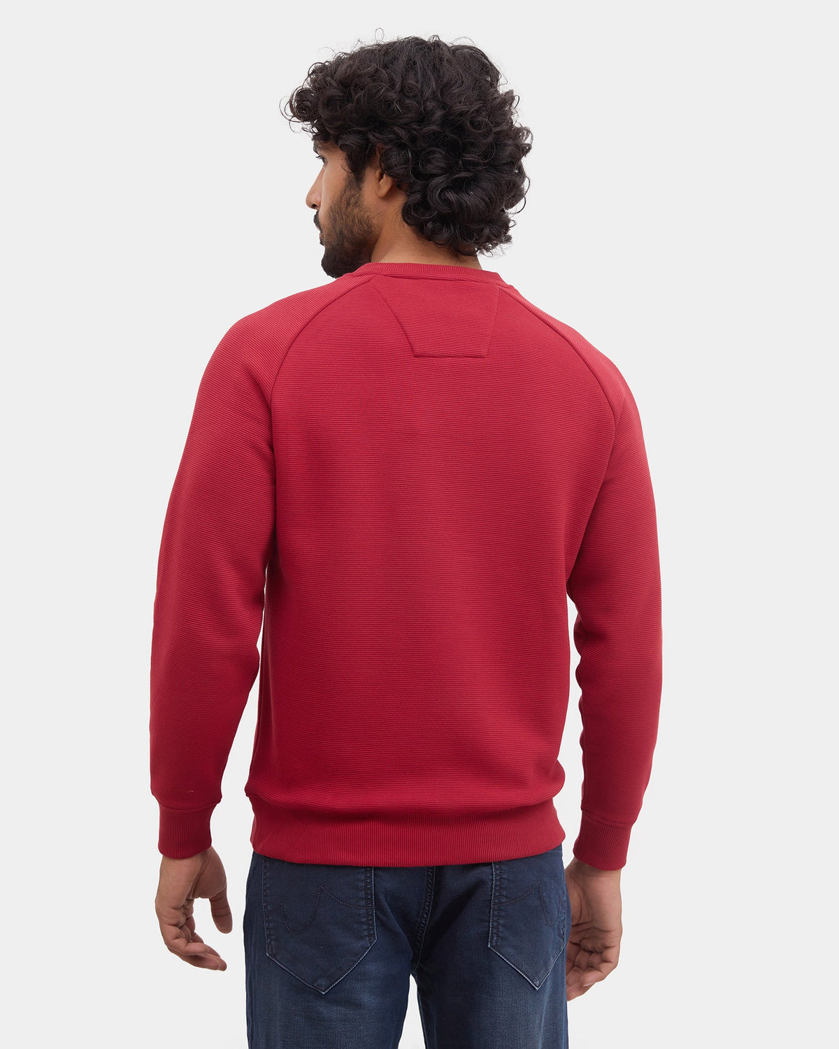 Burgandy Crew Neck Textured Sweatshirt - Sid