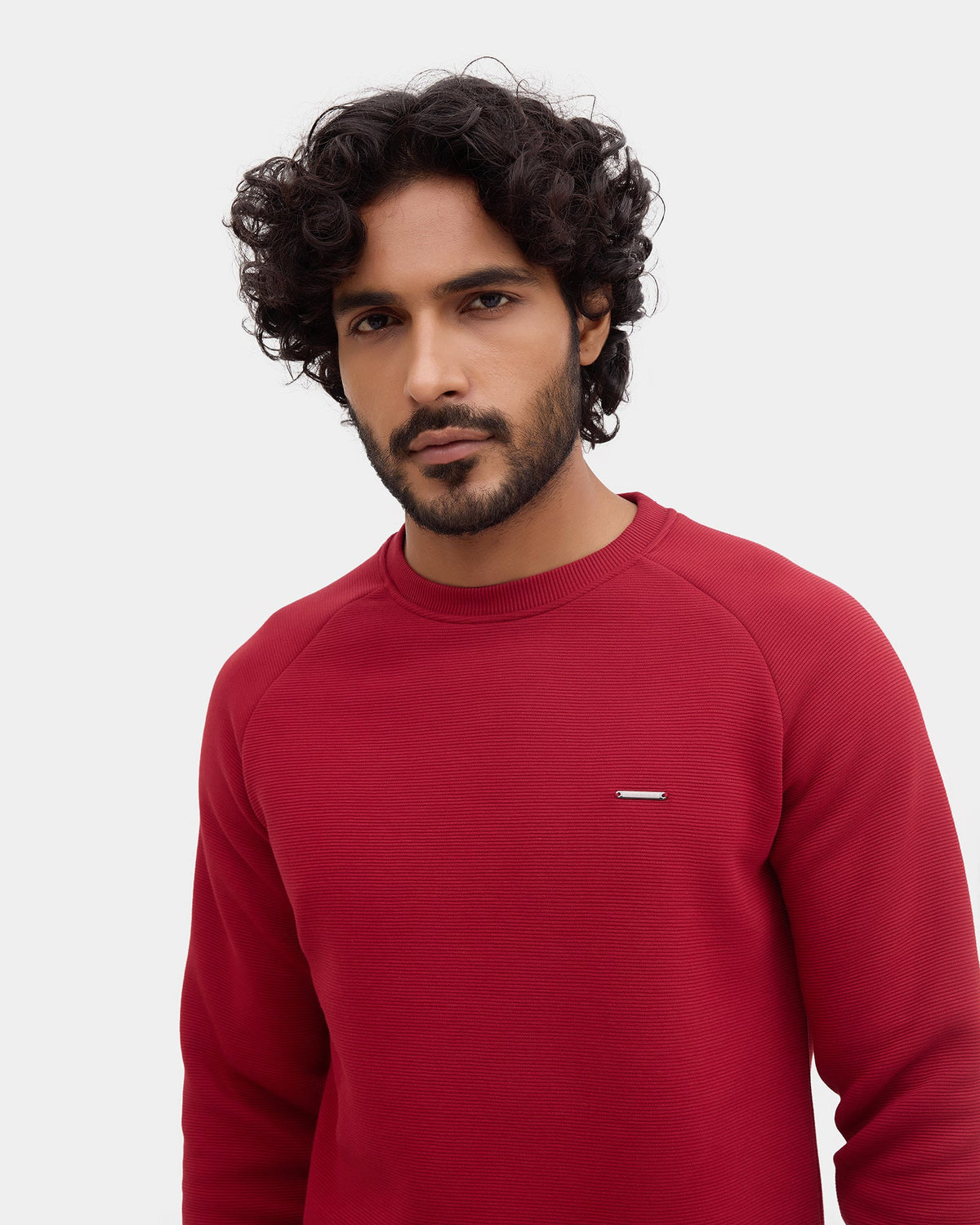 Burgandy Crew Neck Textured Sweatshirt - Sid