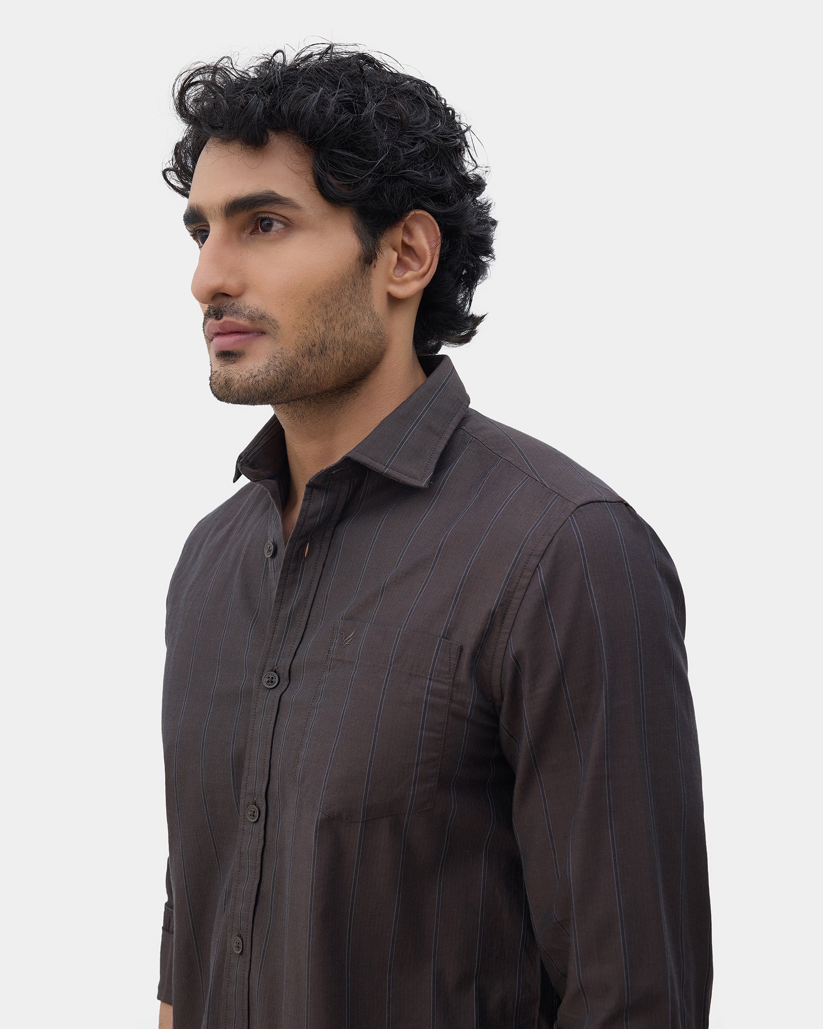 Brown Stripe Shirt - Rosten