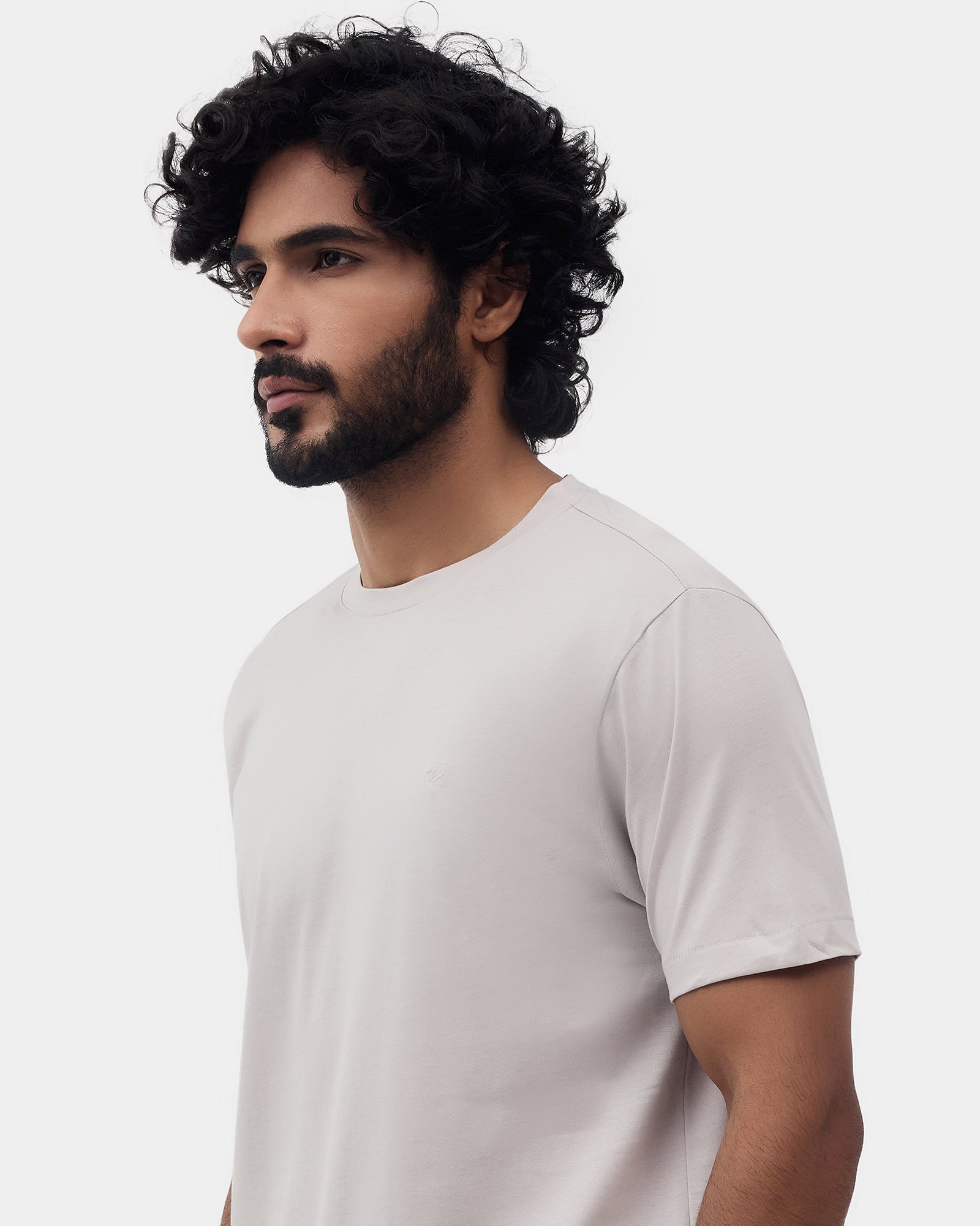 Light Grey Crew Neck Solid T-Shirt - Ginjiro