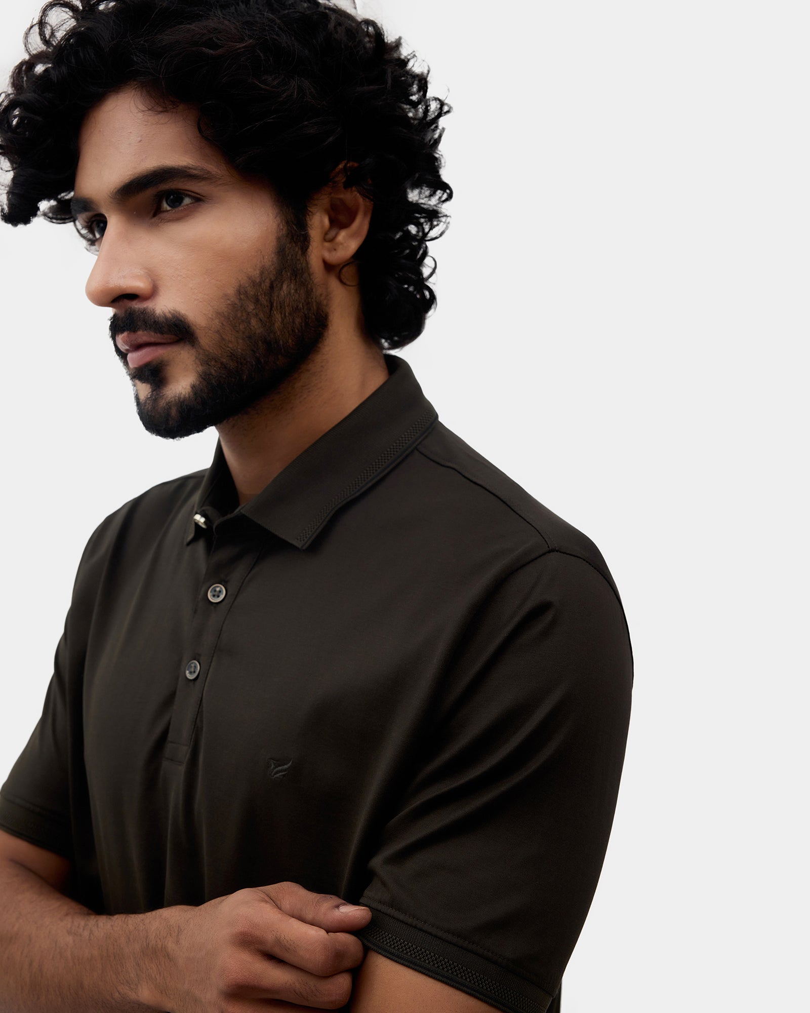 Olive Solid Polo T-Shirts - Orion