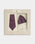 Purple Jacquard Tie - Doly