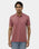 Rose Luxe Brown Solid Polo - Toll