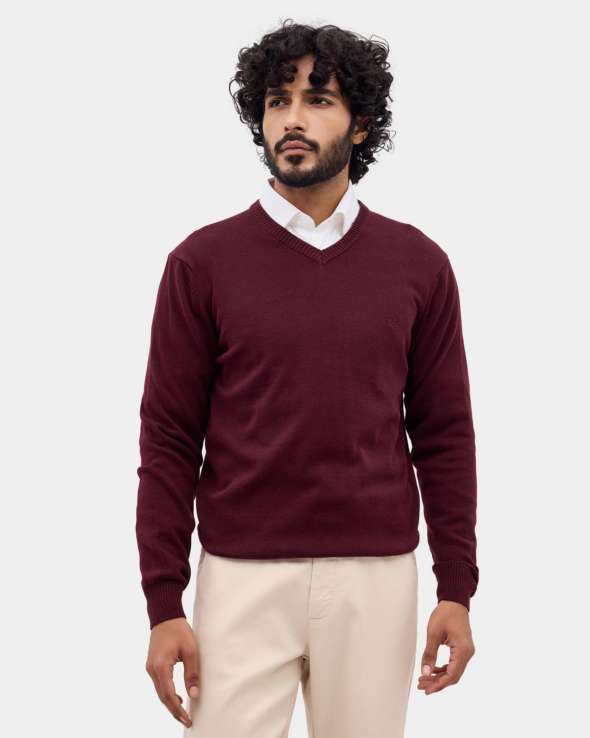 Wine Solid Sweater - Vneckter