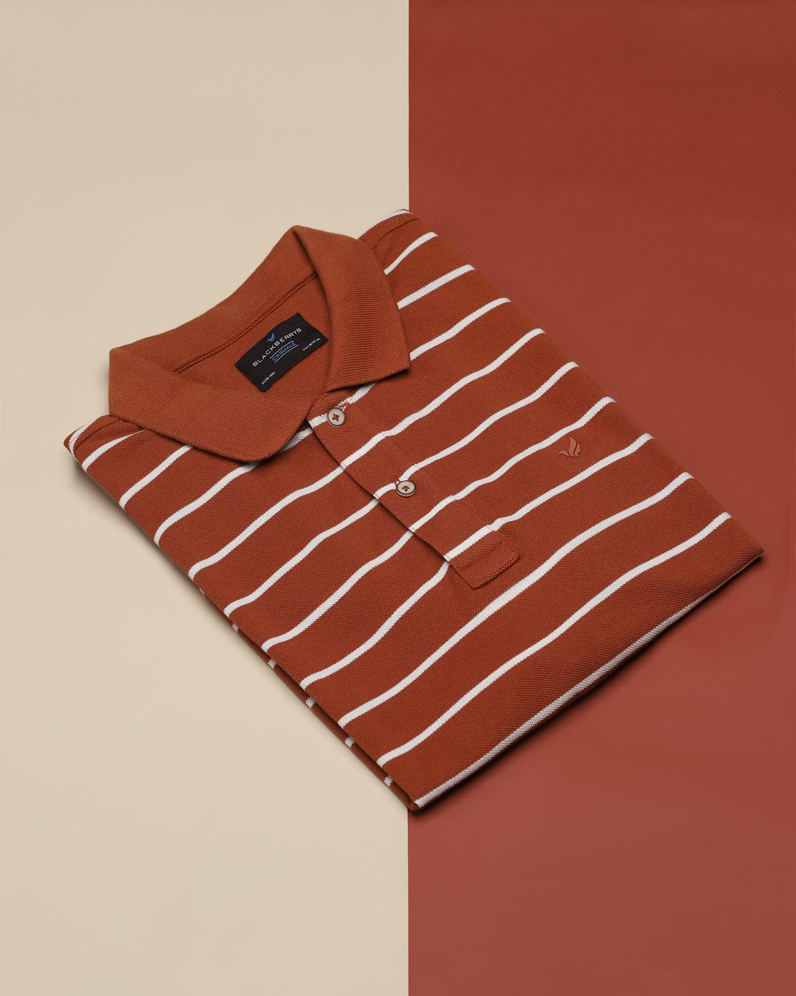 Polo Brown Striped T Shirt - Striper