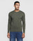 Crew Neck Olive Solid Sweater - Alex